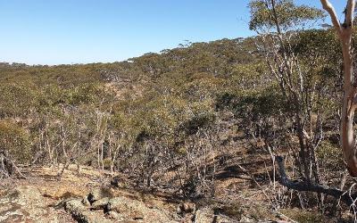 Activity Update March 2025